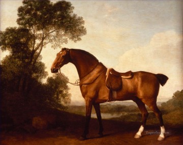  neddy - Ein Saddled Bay Hunter von George Stubbs Neddy